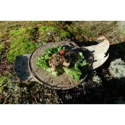 Kupilka Kaarna M - Planche à Découper-Original (Marron) -Meilleur Camping Magasin kupilka kaarna m planche a decouper original marron 2